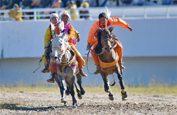 参赛选手在场内速度赛马预赛中。