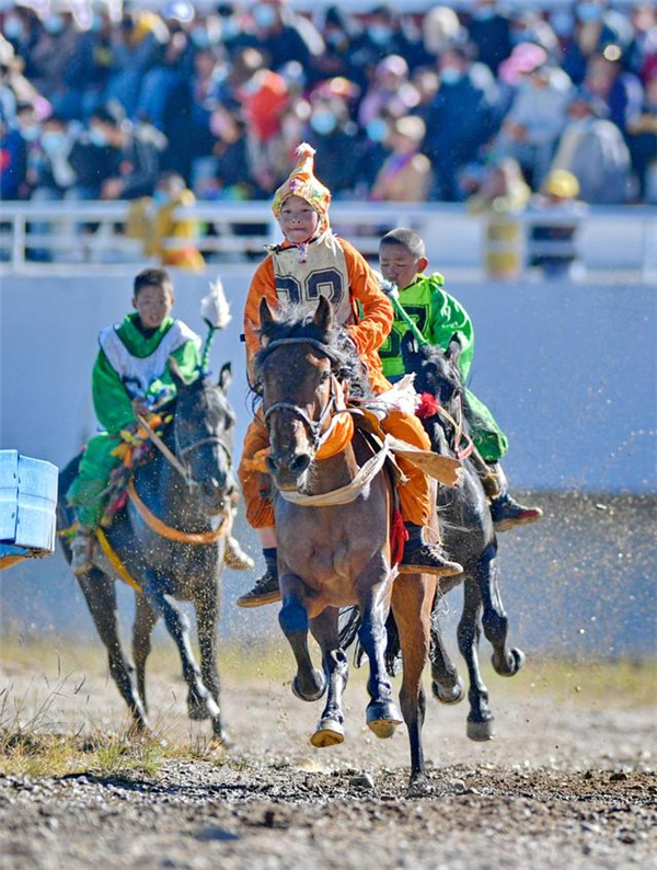 13岁骑手布卡玉（前）驾驭赛马桑白顿珠在预赛中。最终，他在场内速度赛马决赛中获得了第一名。
