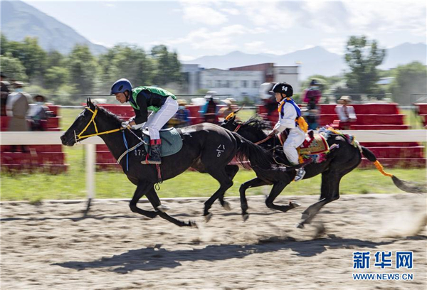 8月20日，拉萨雪顿节民族传统马术表演在拉萨市北郊赛马场进行。    图片来源：新华社记者 詹彦 摄