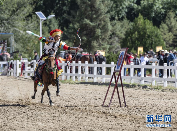 8月20日，拉萨雪顿节民族传统马术表演在拉萨市北郊赛马场进行。    图片来源：新华社记者 詹彦 摄