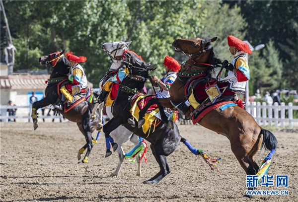 8月20日，拉萨雪顿节民族传统马术表演在拉萨市北郊赛马场进行。    图片来源：新华社记者 詹彦 摄