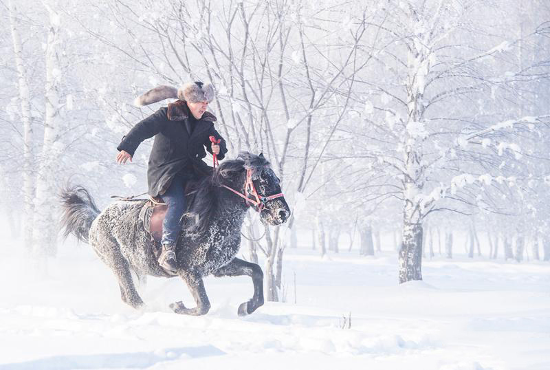 常态化举办雪地“万马奔腾”表演，吸引了很多牧民参加。