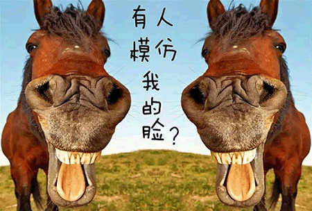 04图.gif