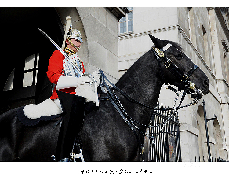 走近伦敦兵马场 瞻仰英国皇家威严