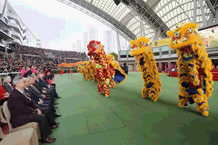 图片 (8).gif