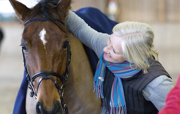 smiling-horse.jpeg