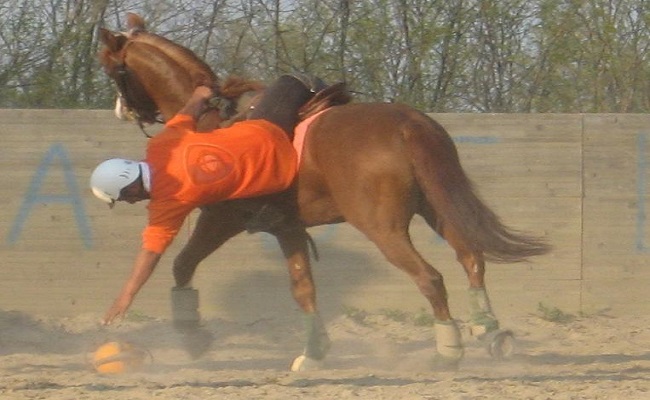 Horseball_ramassage_13_04_2009.jpg