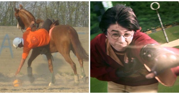 Horseball-Potter-620x326 (1).jpg