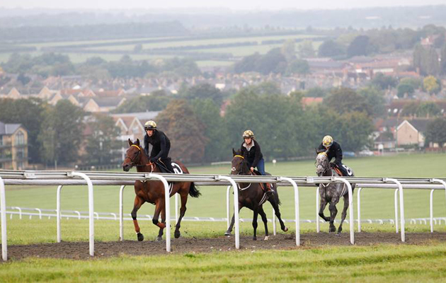 Newmarket-Open-Day-06.jpeg