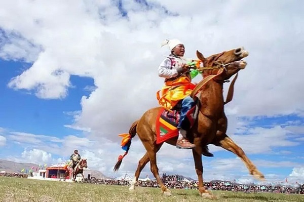 在西藏赛马是一种什么样的体验?