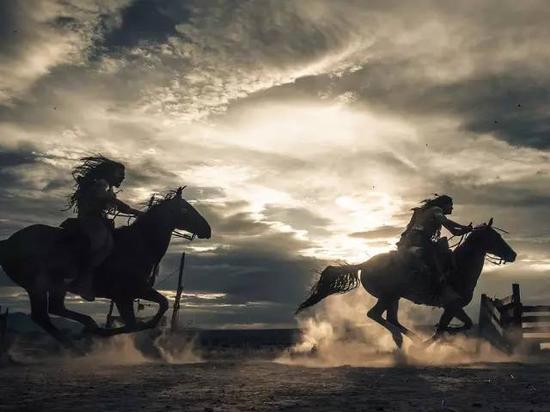 夸特马:美国最流行的马种 西部牛仔的一生挚爱