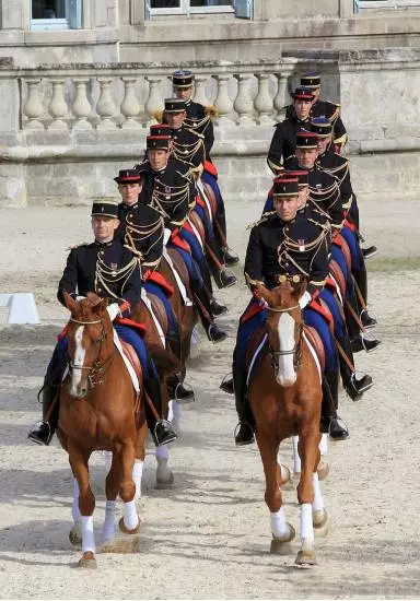 世界马文化瑰宝法兰西共和国骑兵卫队