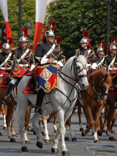 世界马文化瑰宝 法兰西共和国骑兵卫队