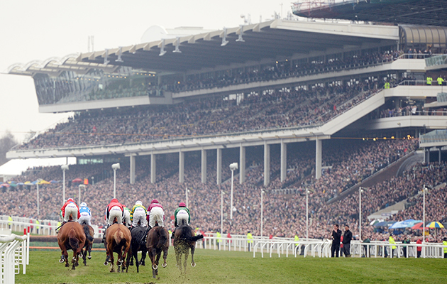 cheltenham-crowd-2.jpg