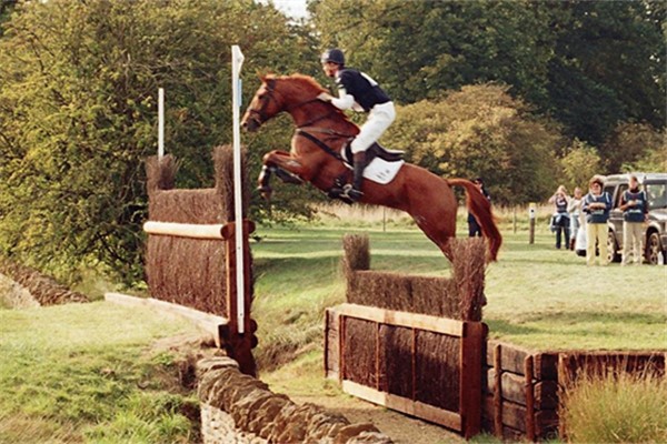 1280px-Foxpitt2.jpg