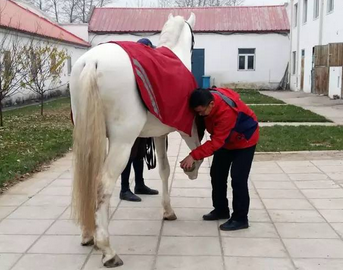 微信截图_20161217121217.png