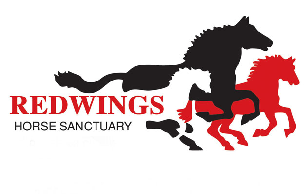 redwings-horse-sanctuary-1361446271.jpg