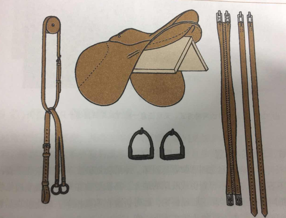 你不能不熟知的马具清洗技能