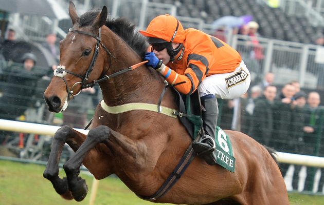 thistlecrack-9-4-16-2.jpg