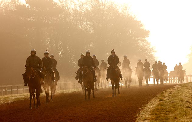 newmarket-gallops.jpg