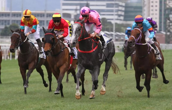 640.webp (2)_副本.jpg