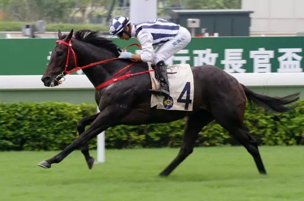 640.webp (4)_副本.jpg